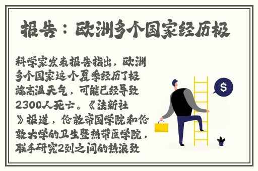 66**网